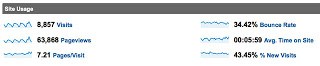 Google Analytics Site Usage